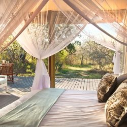 AFRIQUE DU SUD Safaris & Yoga chambre ouverte