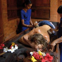 3585 - Ayurvedic cure at Somatheeram, Kerala - 1