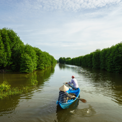 Balade en kayak au Sénégal