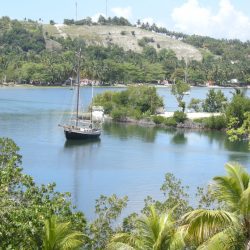 3610 - Haiti at its heart - 1