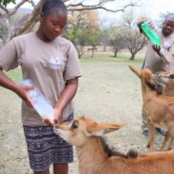 AFRIQUE DU SUD VOLONTARIAT CENTRE DE RÉHABILITATION