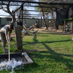 CENTRO DE REHABILITACIÓN PARA VOLUNTARIOS EN SUDÁFRICA