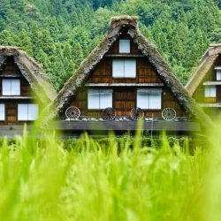 Japanese village Shirakawago village