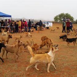 SOUTH AFRICA WILDERNESS SCHOOL: THE BUSH