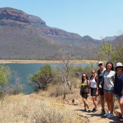 SCUOLA SELVAGGIA DEL SUDAFRICA :  IL BUSO