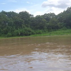 Colombie à travers l'Amazonie, les Andes et les Caraïbes