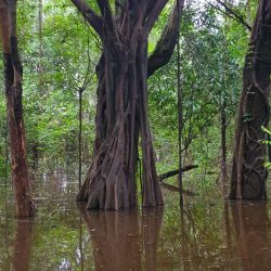 Colombie sauvage 20191126_164605
