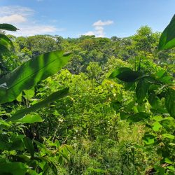 Colombie sauvage 20191130_112012