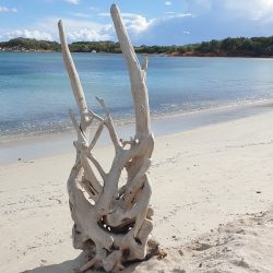 CROISIERE INSOLITE UZEN CORSE