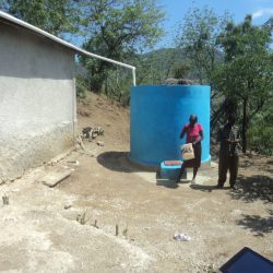 3610 - Haiti at its heart - 1