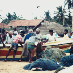 Senegalese fishermen