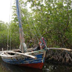 3610 - Haiti at its heart - 1