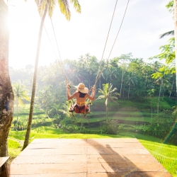 Wilde Natur auf Bali