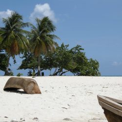 3610 - Haïti en plein cœur - 1