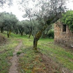 PORTUGAL "UN PRINTEMPS POUR SOI" EN LA TIERRA DEL FADO CERNACHE DO BONJARDIN