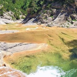 Nel cuore di Aragona