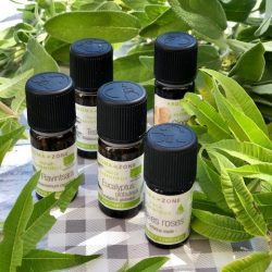 PORTUGAL "UN PRINTEMPS POUR SOI" IN THE LAND OF FADO ESSENTIAL OILS