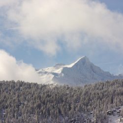 BALKON DES ENCANTAT