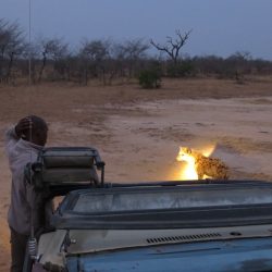 SUD AFRICA Safari e yoga