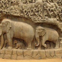 Sérénité en Inde du sud éléphants