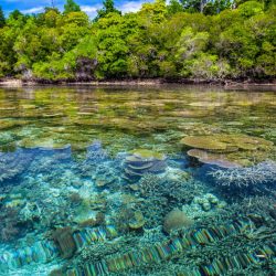 Indonesien Lagune