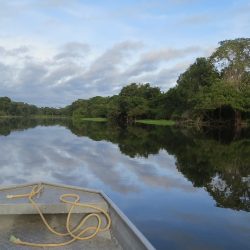 Caleidoscopio in Colombia