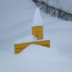 CHARTREUSE SNOWSHOEING PROGRAMME