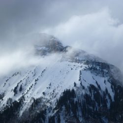 CHARTREUSE SNOWSHOEING PROGRAMME