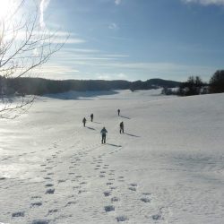 PROGRAMMA DI ESCURSIONI CON LE RACCHETTE DA NEVE NEL GIURA