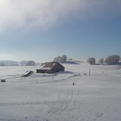 PROGRAMMA DI ESCURSIONI CON LE RACCHETTE DA NEVE NEL GIURA