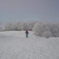 PROGRAMMA DI ESCURSIONI CON LE RACCHETTE DA NEVE NEL GIURA