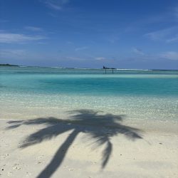 Maldives Autrement Guesthouse