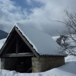 PROGRAMM SCHNEESCHUHWANDERN CHARTREUSE