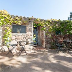 CAMPO RANCH PALOMBAGGIA CORSE VIP terrasse