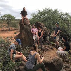 AFRIQUE DU SUD ECOLE SAUVAGE : LE BUSH