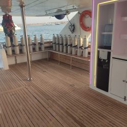 Croisière Dauphins