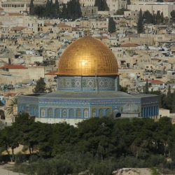 Terre d'histoire Israël