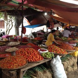 Abenteuer und Eintauchen in Sulawesi