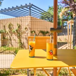 Mini Jardin hébergement six-fours