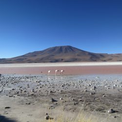 3567 - Circuit semi-autonome, Bolivie/Chili, Sud Lipez et San Pedro de Atacama - 1