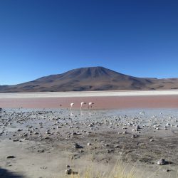 3567 - Halbautonome Rundreise, Bolivien/Chile, Süd-Lipez und San Pedro de Atacama - 1