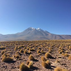 3567 - Tour semiautonomo Bolivia/Cile, Lipez Sud e San Pedro de Atacama - 1