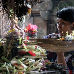 Arrozales y mar turquesa en Bali-Lombok