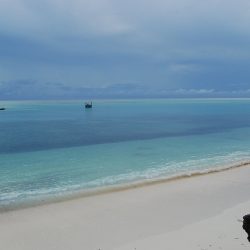 3672 - Séjour 100% détente sur l’île aux épices - 1