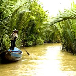 Le Vietnam du Nord au Sud