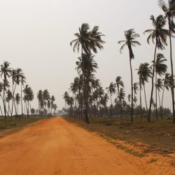 3574 - Couleurs du Sud-Bénin - 1