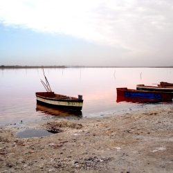 3515 - Discovering Senegal through ICD Afrique projects - 1