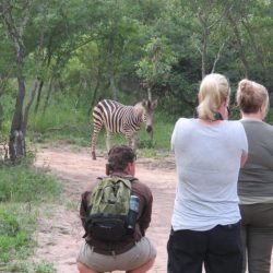 SUD AFRICA Safari e Yoga bushwalk 1