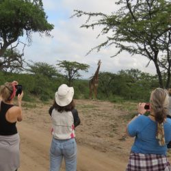 AFRIQUE DU SUD Safaris & Yoga bushwalk 2