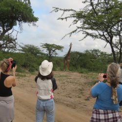 SUDÁFRICA Safaris y Yoga bushwalk 2